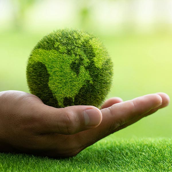 Sustainability at APEC